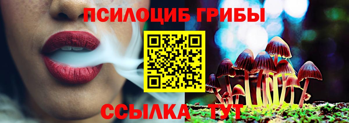 Галлюциногенные грибы Cubensis Сертолово